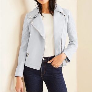 Ann Taylor Knit Textured Moto Jacket